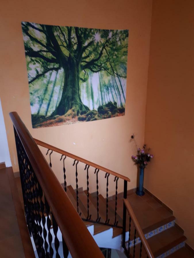 Casa Camino Al Castillo Xàtiva Exteriér fotografie